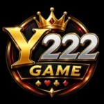 y222 game